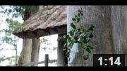 伊勢神宮のパワースポット 日本一のパワースポット 御垣内の鳥居の先
